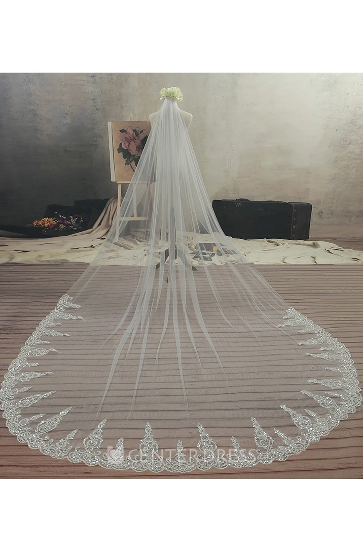 Ethereal Style Cathedral Tulle Wedding Veil with Lace Edge