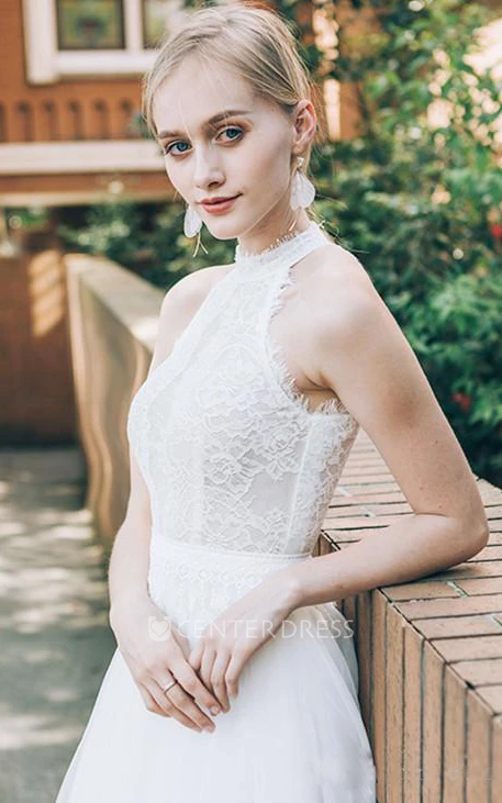 A Line Sleeveless Halter Lace Tulle Bohemian Modern Zipper Winter Wedding Dress