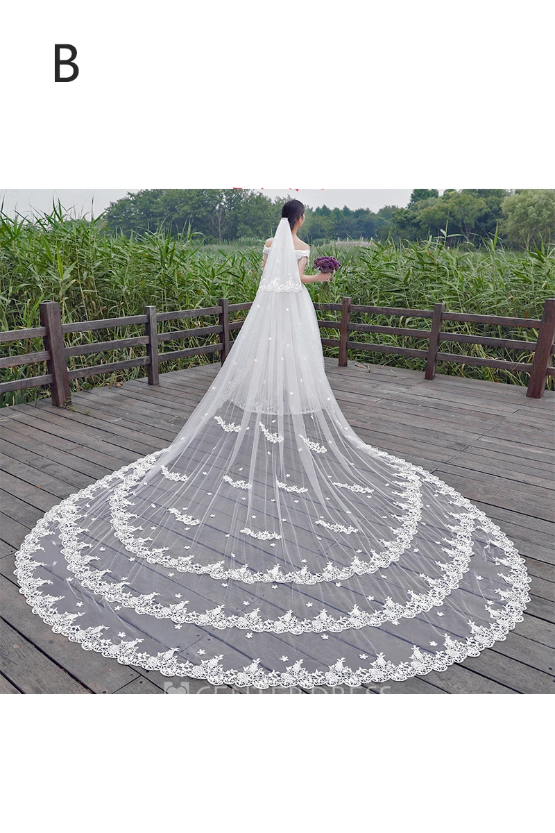 New Korean Ethereal Extra Long Tailed Wedding Veil with Lace Appliques
