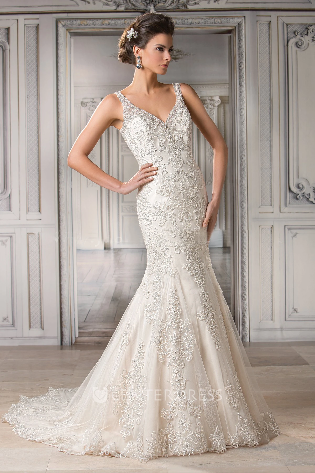 Sleeveless V-Neck Mermaid Wedding Dress With Appliques And Illusion Back