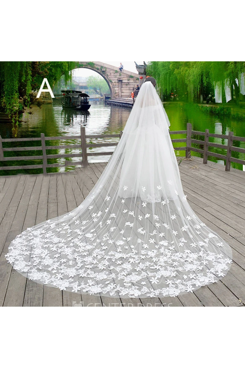 New Korean Style Lace Applique Large Tailed Tulle Super Long Veil