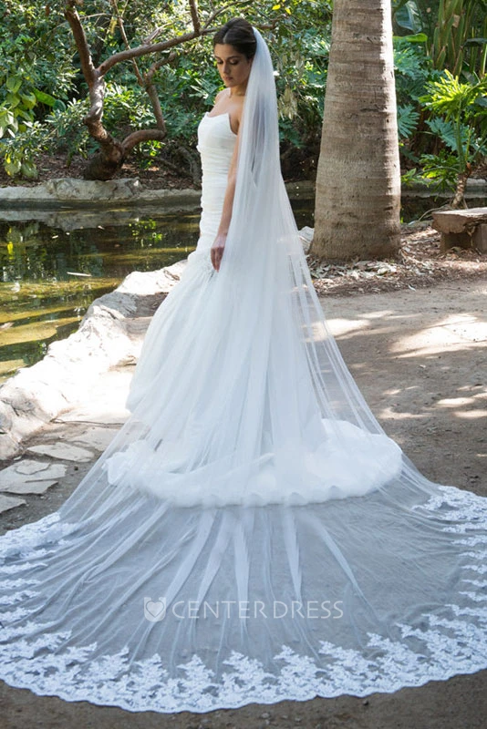 Single Layer Wedding Veil With Long Tail and Lace Edge