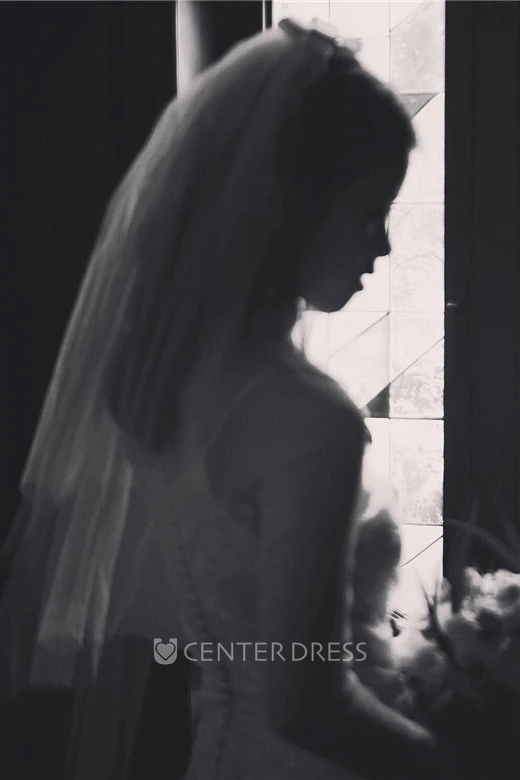 Simple Wedding Veil With Bow and Insert Comb