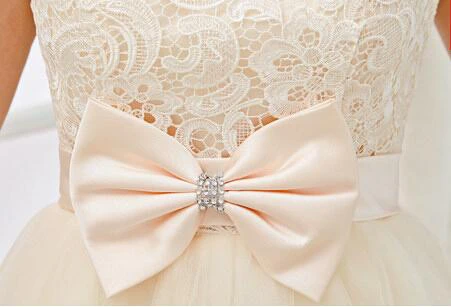 Timeless Sleeveless Lace Cocktail Dress Bowknot Tulle Short Prom Gowns