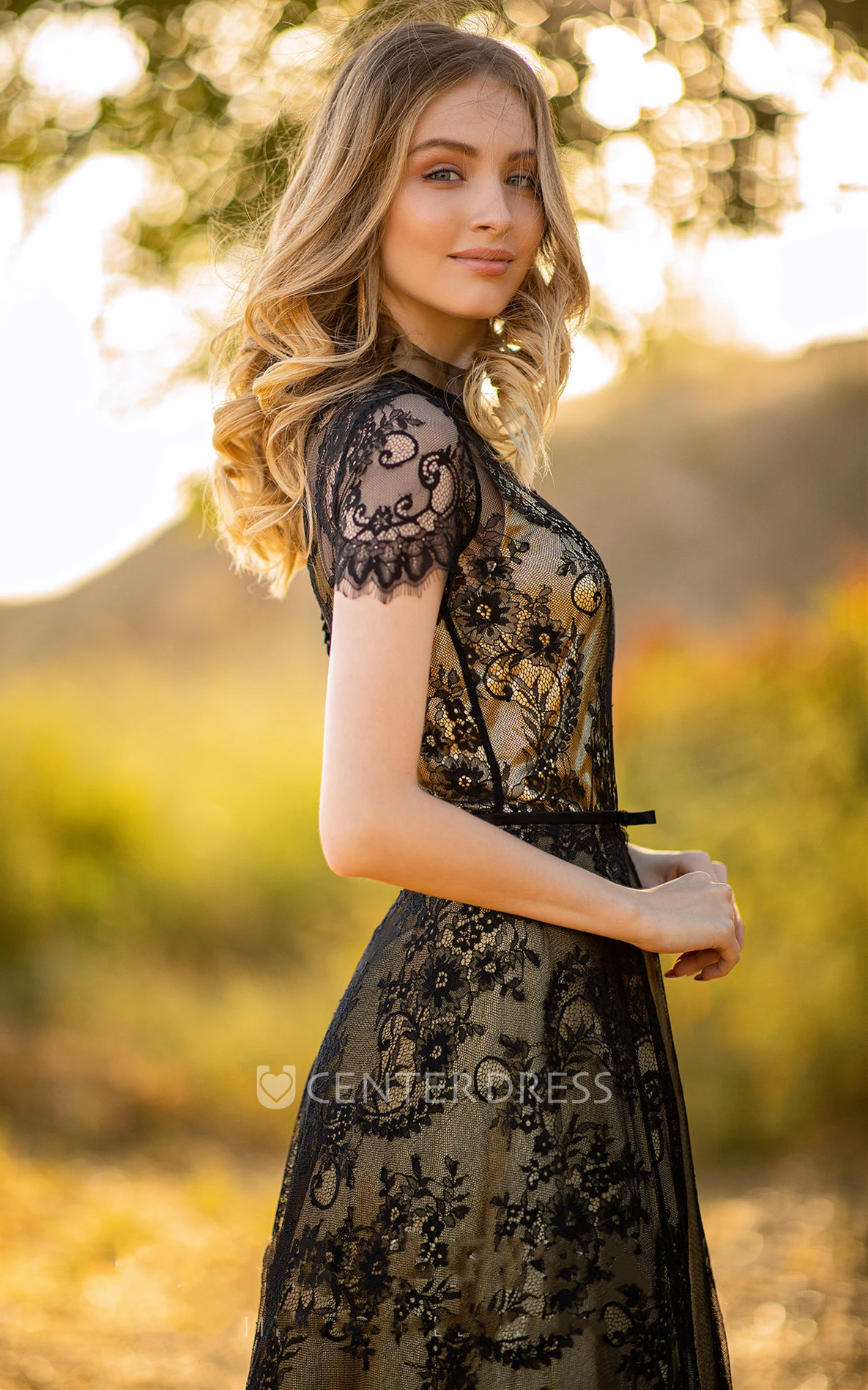 Ethereal A Line Jewel Neckline Lace Evening Gown