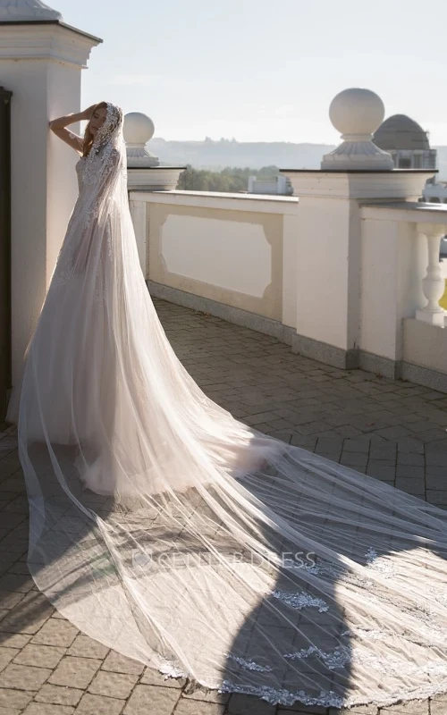 Ethereal A Line Ball Gown Floor-length Long Sleeve Tulle Winter Wedding Dress with Appliques