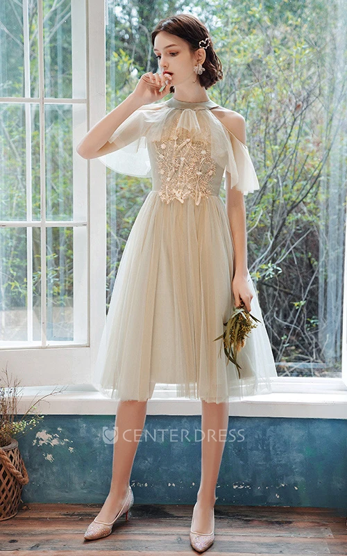 Casual Tulle Bateau Halter Off-the-shoulder A Line Cocktail Homecoming Dress With Appliques