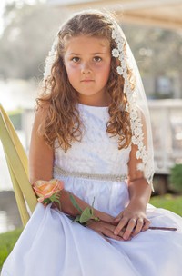 Beautiful Tulle Flower Girl Veil with Comb