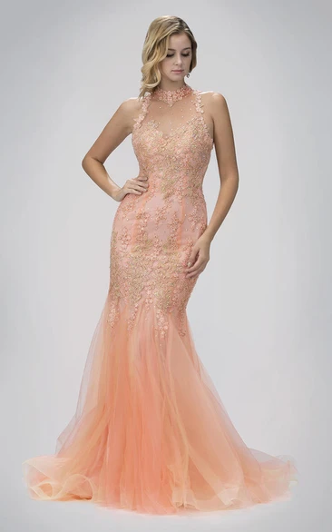 Mermaid High Neck Sleeveless Tulle Illusion Dress With Appliques