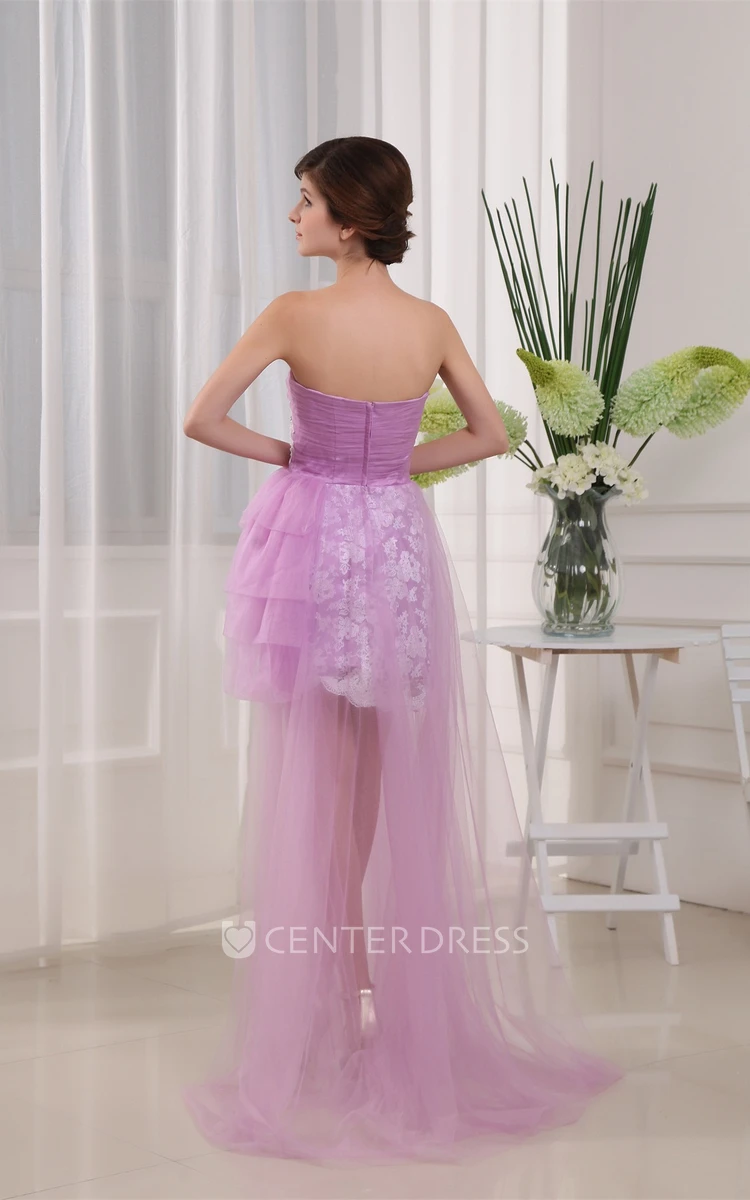 Sleeveless Fitted Short Tulle Dress With Appliques