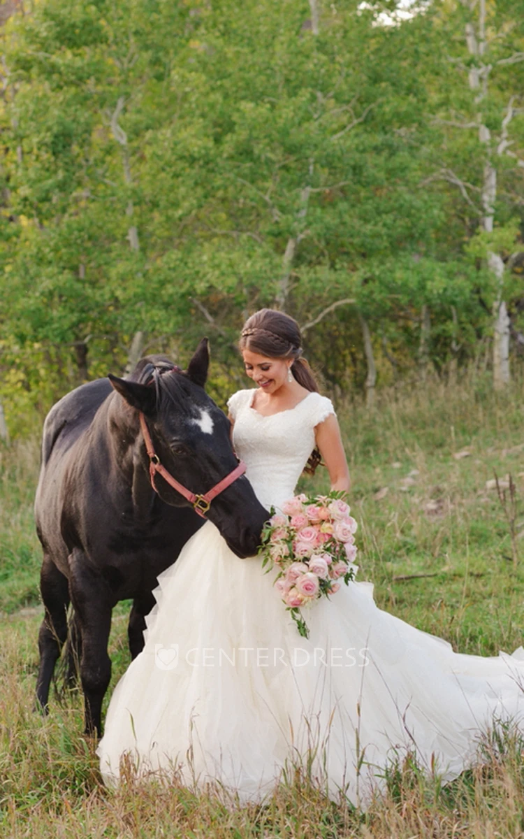 A Line Queen Anne Organza Lace Zipper Wedding Gown