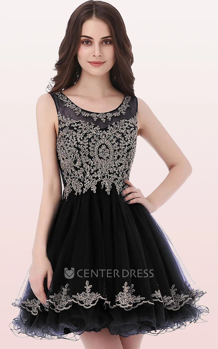 Romantic A Line Tulle Scoop Sleeveless Homecoming Dress with Embroidery