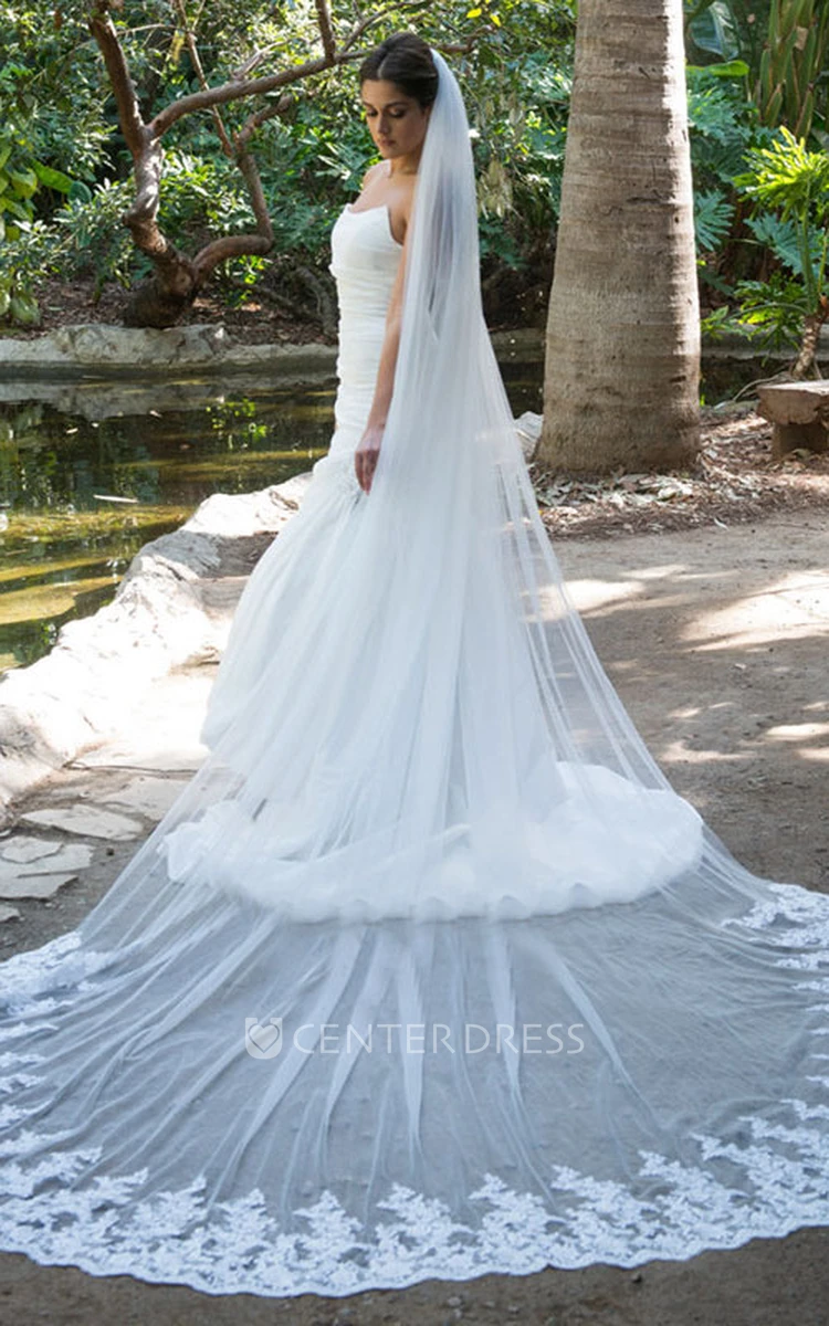 Single Layer Wedding Veil With Long Tail and Lace Edge